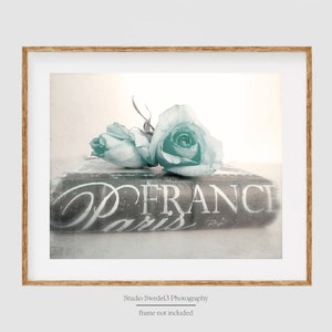 Paris Romantic- Vintage Style Rose Print, Paris Bedroom Wall Decor, Shabby Chic Aqua Rose Photography, Paris France Book Print, Romantic Art