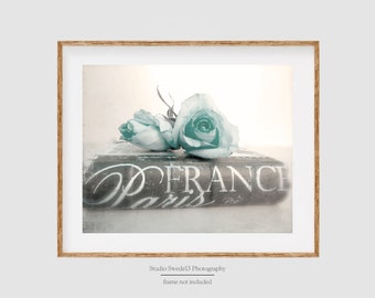 Paris Romantic- Vintage Style Rose Print, Paris Bedroom Wall Decor, Shabby Chic Aqua Rose Photography, Paris France Book Print, Romantic Art