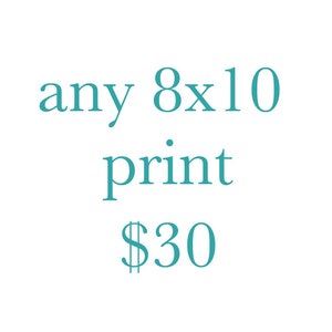 May include: Text that reads "any 8x10 print $30".
