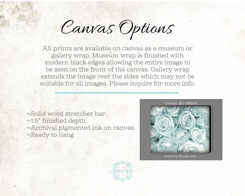 May include: Canvas print options for artwork. The text describes museum wrap and gallery wrap options. A sample image shows a close-up of a bouquet of light blue roses with black edges. The text "Canvas Art Option" is at the top of the sample image.