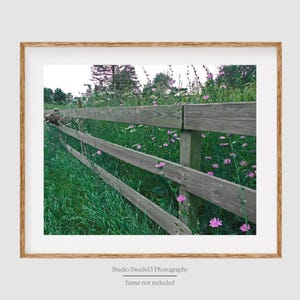 May include: A wooden fence with three horizontal rails runs diagonally through a field of green grass and purple wildflowers.