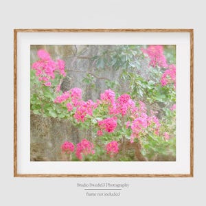 Pink Whisper- Pink Flowers, Garden Flowers, Wildflower Print, Pink Tree Blossoms, Nature Photography, Farmhouse Decor, Pink Botanical Print