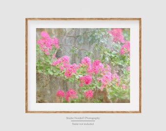 Pink Whisper- Pink Flowers, Garden Flowers, Wildflower Print, Pink Tree Blossoms, Nature Photography, Farmhouse Decor, Pink Botanical Print