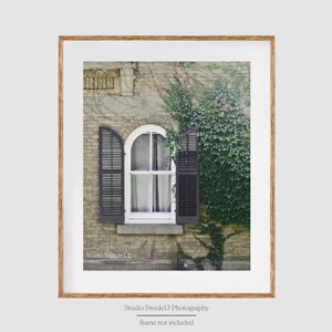 May include: A vintage window with white trim and black shutters is partially covered in green ivy. The window is set in a brick wall with a weathered, aged look.