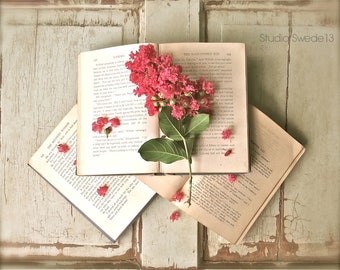 Storytime- Vintage Book Photography, Farmhouse Art Print, Cottage Chic Vintage Rustic Books, Pink Flower Print, Cottage Library Office Art