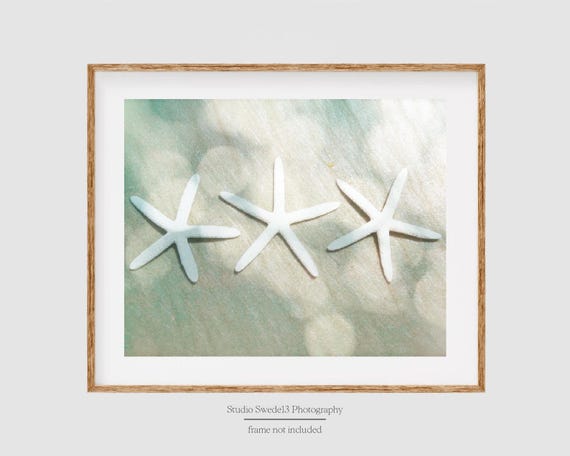 Three Little Stars- Starfish Beach Art Print, Nature Starfish Photography, Tropical Nursery Wall Art, Florida Coastal Beach Sea Art Print