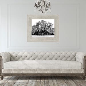 May include: A black and white photograph of a large, draped tree in a white frame. The photograph is hanging on a white wall above a white tufted sofa.