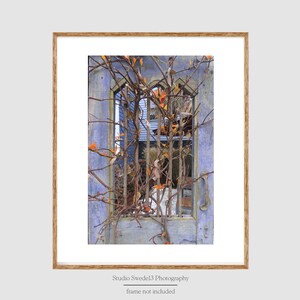 Orange Leaf- Charleston Print, Charleston Wall Art, Charleston Gift, Charleston Scenery, Travel Art, Southern Home Art Print