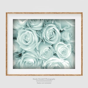 Aqua Dream- Blue Rose Photograph, Rose Art, Aqua Flower Photo, Cottage Chic Garden Print, Romantic Blue Flower Art, Modern Botanical Print