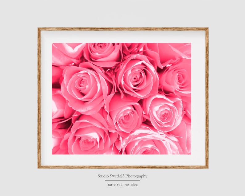 May include: A close-up image of a bouquet of pink roses. The roses are arranged in a tight cluster, with their petals overlapping. The image is in focus, and the roses are the only subject in the image.