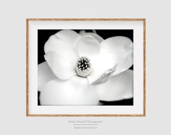 White Magnolia- Contemporary Flower Print, Black and White Flower Art, Garden Fine Art Photography, Nature Photo, Modern Flower Wall Art