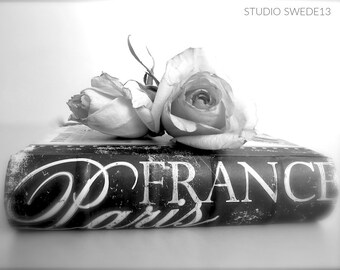 Paris Romantic- Black and White Rose Art, Romantic Cottage Rose Print, Rustic Chic Rose Photography, Paris France Wall Art, Book Photography