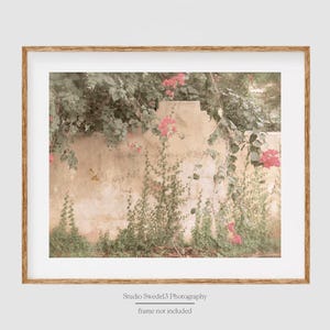 May include: A vintage-style photograph of a wall covered in vines and pink flowers. The wall is a pale yellow color and the vines are a deep green. The flowers are a bright pink and are in full bloom. The image has a soft, dreamy feel.