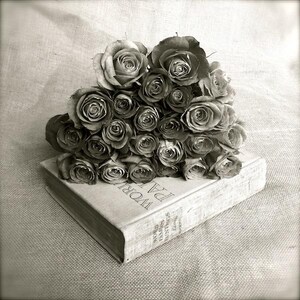 May include: A black and white photo of a bouquet of roses on top of a closed book. The book's title is "The World of Plants".