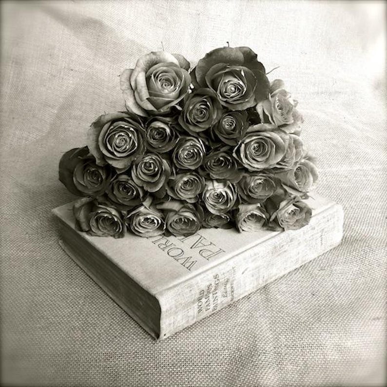 May include: A black and white photo of a bouquet of roses on top of a closed book. The book's title is "The World of Plants".