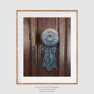 May include: A close-up of a blue and silver door knob with intricate details on a wooden door.