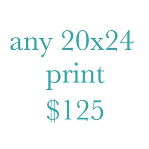 May include: Teal text on a white background reads "any 20x24 print $125"