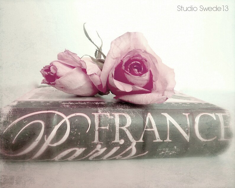 May include: A vintage book with the words "Paris France" on the cover. Two pink roses are resting on top of the book.