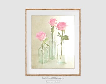Pink Simplicity- Pink Rose Photography, Shabby Cottage Chic, Pink Rose Art, Home Garden Country Kitchen Flowers, Farmhouse Wall Art Print