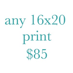 16x20 Photography Print-Large Wall Art-Custom Enlargement