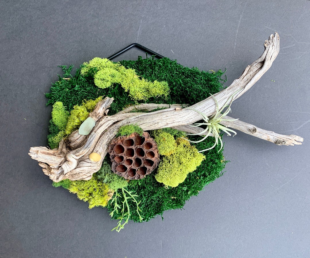 Moss Wall Artminimalist Wall Decorforest Artoffice Decordriftwood
