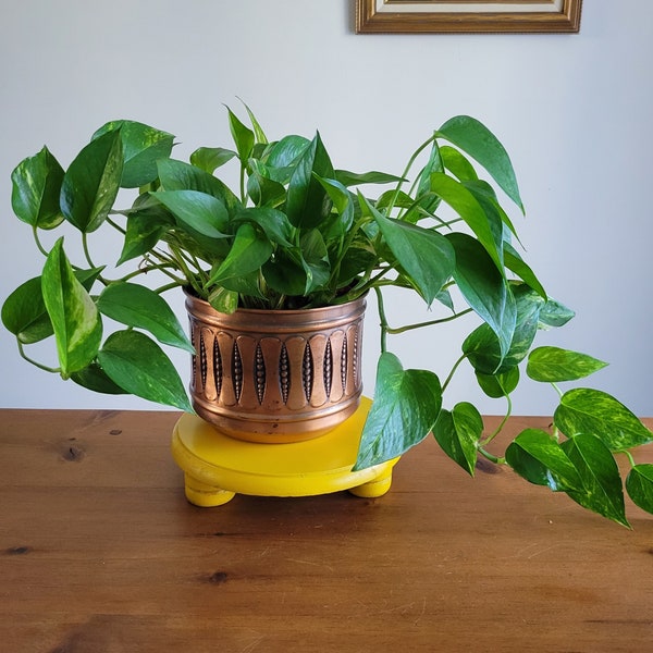 Yellow wooden plant stand:  short plant stool, sunny 1970s plant decor