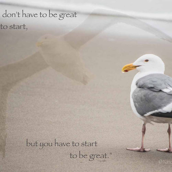 Inspirational Wall Art, Nature Print, Seagull Picture, Sandy Beach Photography, Motivational Quote, Inspiring Gift, New Job, Starting Out