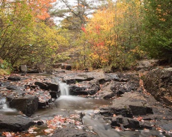 Stream Spilling over Rocks ~ Autumn Leaves in Maine Forest Print, Nature Photography, Maine Art, Seasonal Art, Nature Print, Nature Photo