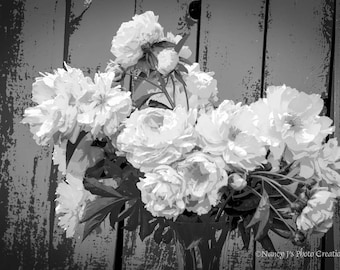Peonies Floral Print ~ Black and White Wall Art, Peony Photography, Large Wall Art, Flower Photo, Rustic Home Decor, Farmhouse Wall Decor