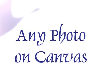 Canvas Gallery Wrap  Large Art  Canvas Print Canvas Art  Print Canvas Wrap Canvas Photography Large Canvas Nature Photography Abstract fPOE