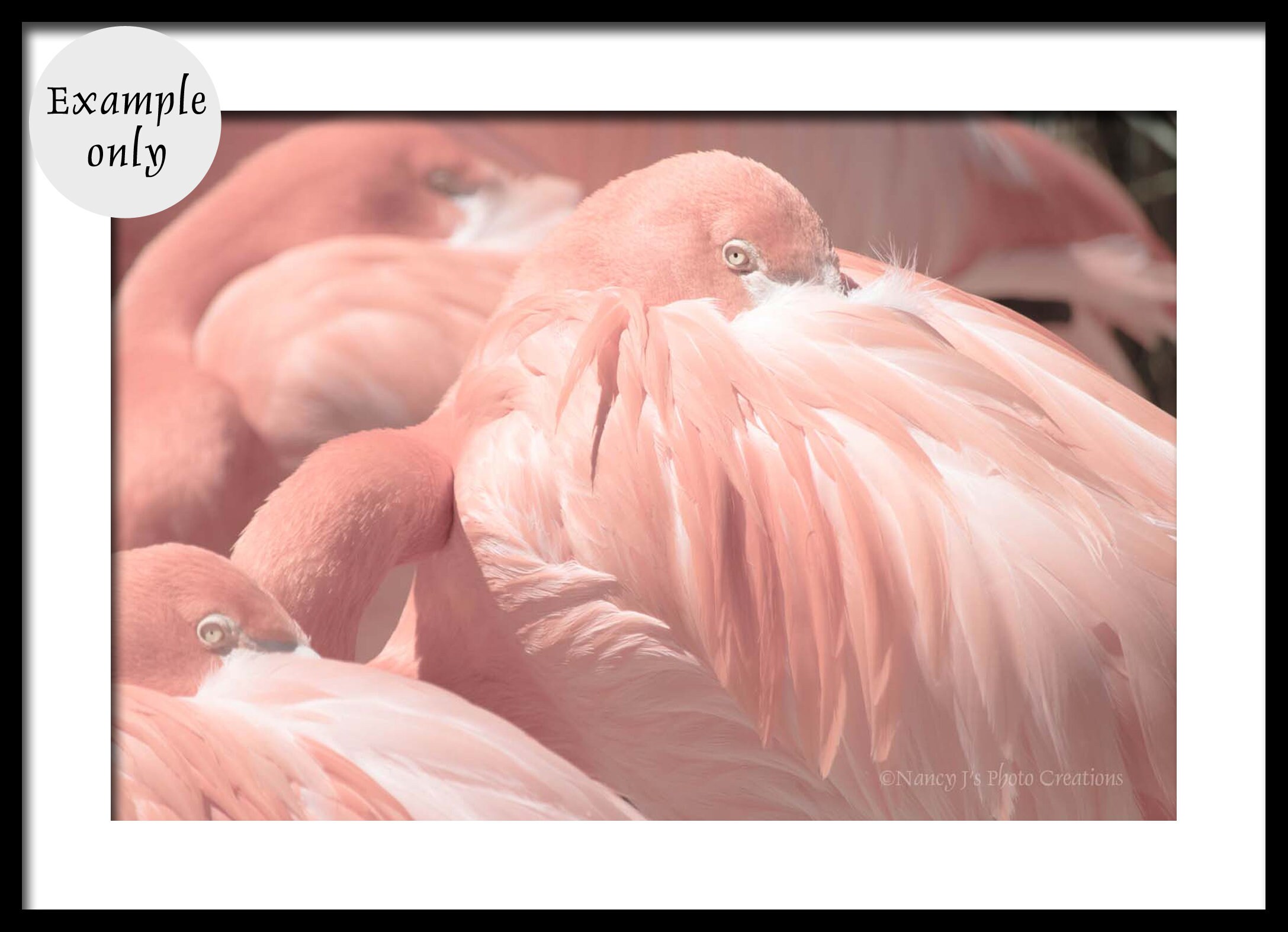 Flamingo Print, Tropical Wall Art, Baby Girl Nursery Art Print, Pink ...
