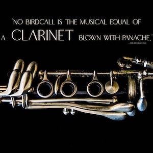 Musician Gift Clarinet Practice Reminder Poster Bass Clarinet Poster Music Practice Room Decor Clarinet Poster Clarinet Gift