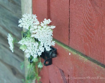 Rustic Floral Print, Queen Anne's Lace Picture, Rustic Photography, Old Shed Door, Red Barn Door Photo, Off-white Flowers, Rustic Home Decor