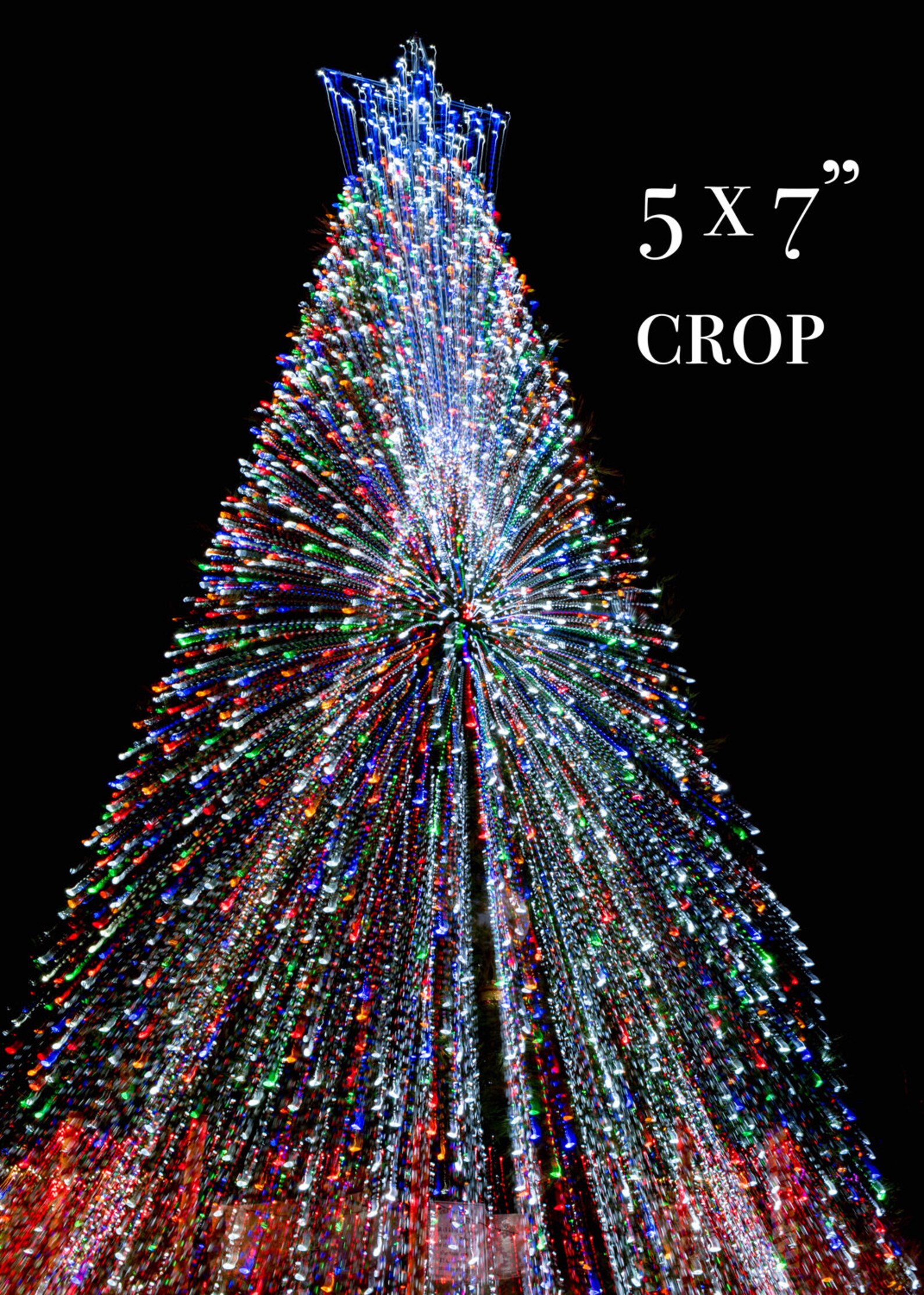 Red Blue Green Christmas Tree Lights Photo, Holiday Wall Art, Shimmering Christmas Home Decor