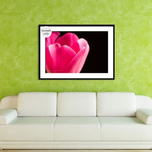 Shocking Pink Tulip Print Contemporary Floral Wall Art | Etsy