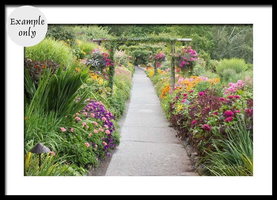 Path Through Lush Garden Wall Art Colorful Flowers Butchart | Etsy