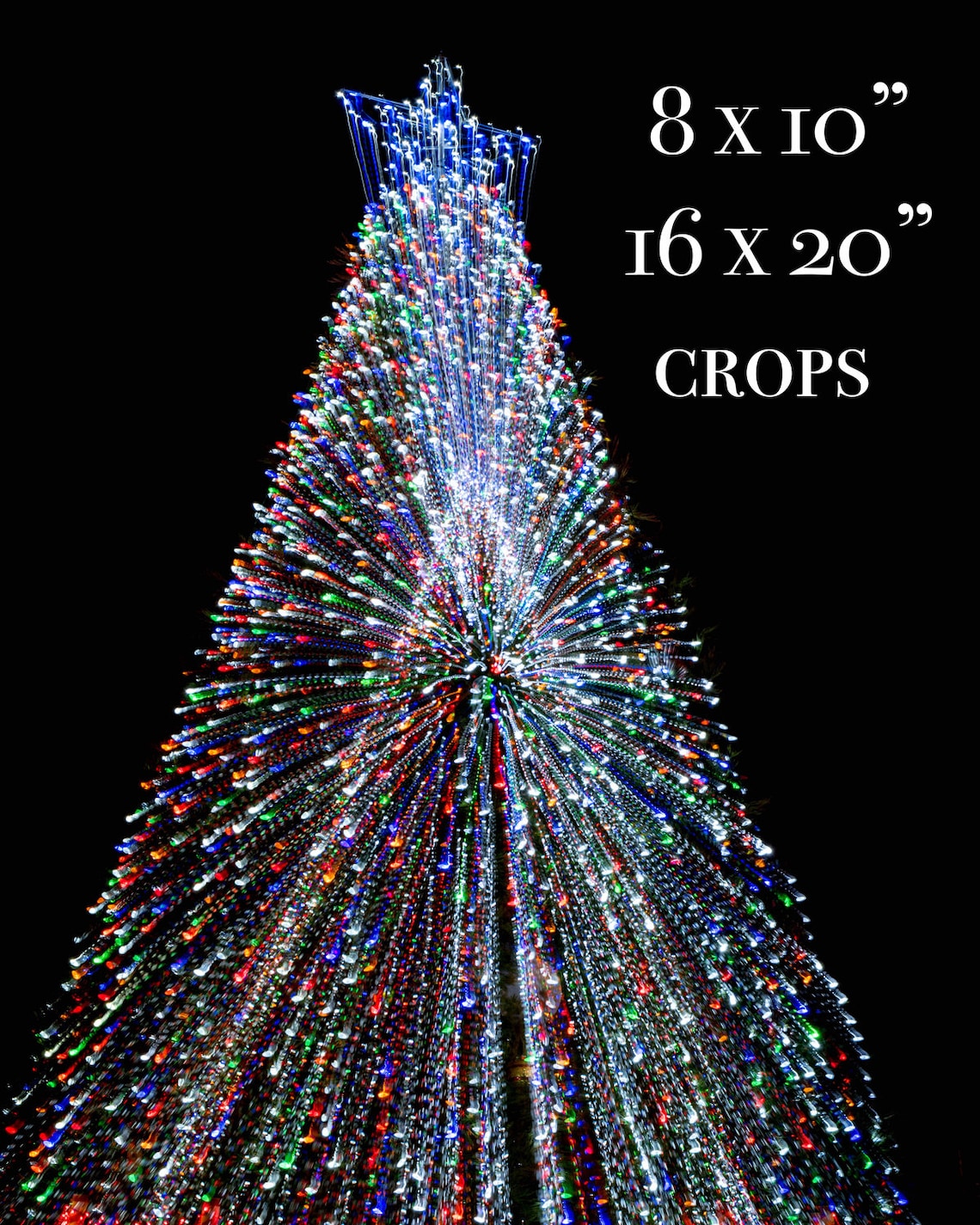 Red Blue Green Christmas Tree Lights Photo Holiday Wall Art - Etsy