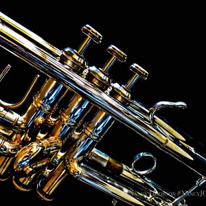 Trumpet Art, Musical Instrument Photography, Trumpeter Gift for Musician, Contemporary Art, Music Decor, R&B Jazz Photography Music Wall Art