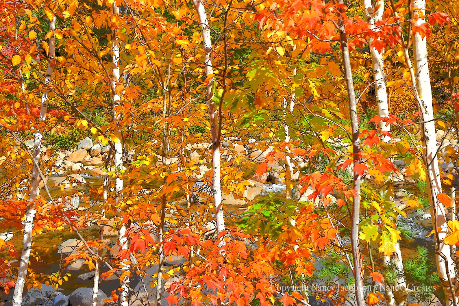 New Hampshire Autumn Forest Art Print Unframed Fall Leaves Etsy
