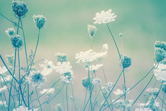Dreamy Wall Art ~ Nature Photography ~ Teal Decor, Botanical Print, Casual Wall Art, Ethereal Art, Nature Photo, Green Bedroom Wall Decor