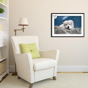 White Wolf Photography, Wildlife Art, Animal Print Wolf Photo Wild Dog Portrait Wolf Picture Alaskan Gift Wolf Photograph Blue Gray Wall Art image 7