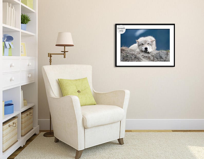 White Wolf Photography, Wildlife Art, Animal Print Wolf Photo Wild Dog Portrait Wolf Picture Alaskan Gift Wolf Photograph Blue Gray Wall Art image 7