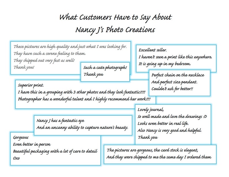 May include: A collage of customer testimonials about a photographer's work. The testimonials highlight the photographer's talent, the quality of their work, and their customer service. The text includes phrases like "fantastic eye", "uncanny ability to capture nature's beauty", "superior print", "gorgeous", "beautiful packaging", "excellent seller", "perfect chain", "lovely journal", "well made", "gorgeous pictures", and "elegant card stock".