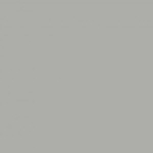 May include: A plain, solid gray background.