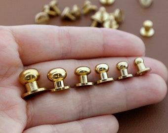 10 sets Brass Rivets and Studs, Round Head Brass Rivets and Studs for Leather Handbags, Screwed Studs, Brass Chicago Screw Rivets Belt Stud