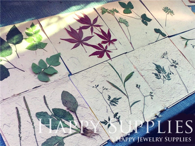 Flower Press Kit / Custom DIY Dry Plant Tools / Personalized Etsy