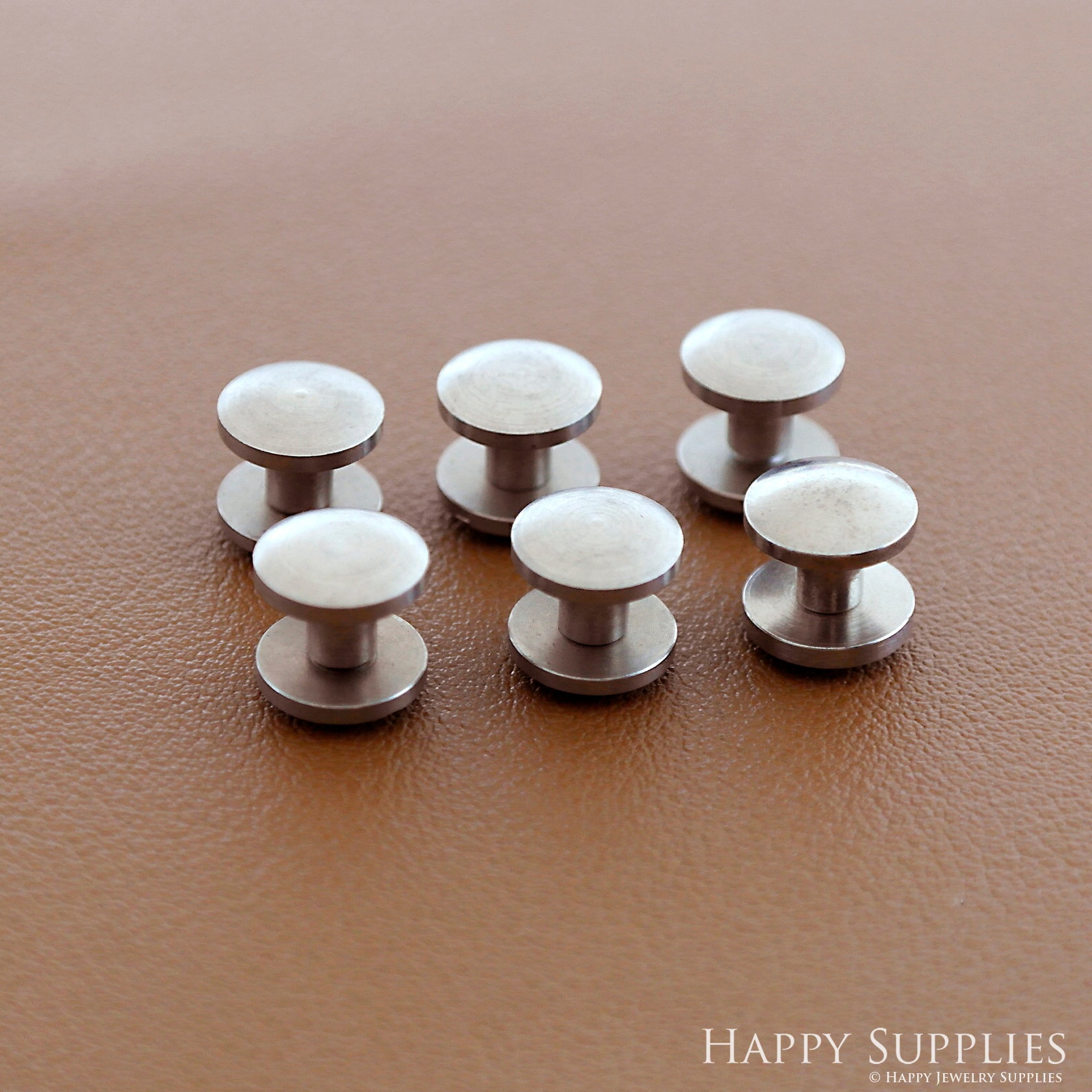 10MM Curved Head Stainless Steel Chicago Screw For Leather, 3/8"  Screw Rivets, Leather Craft Screws, Screws Leatherworking Screws