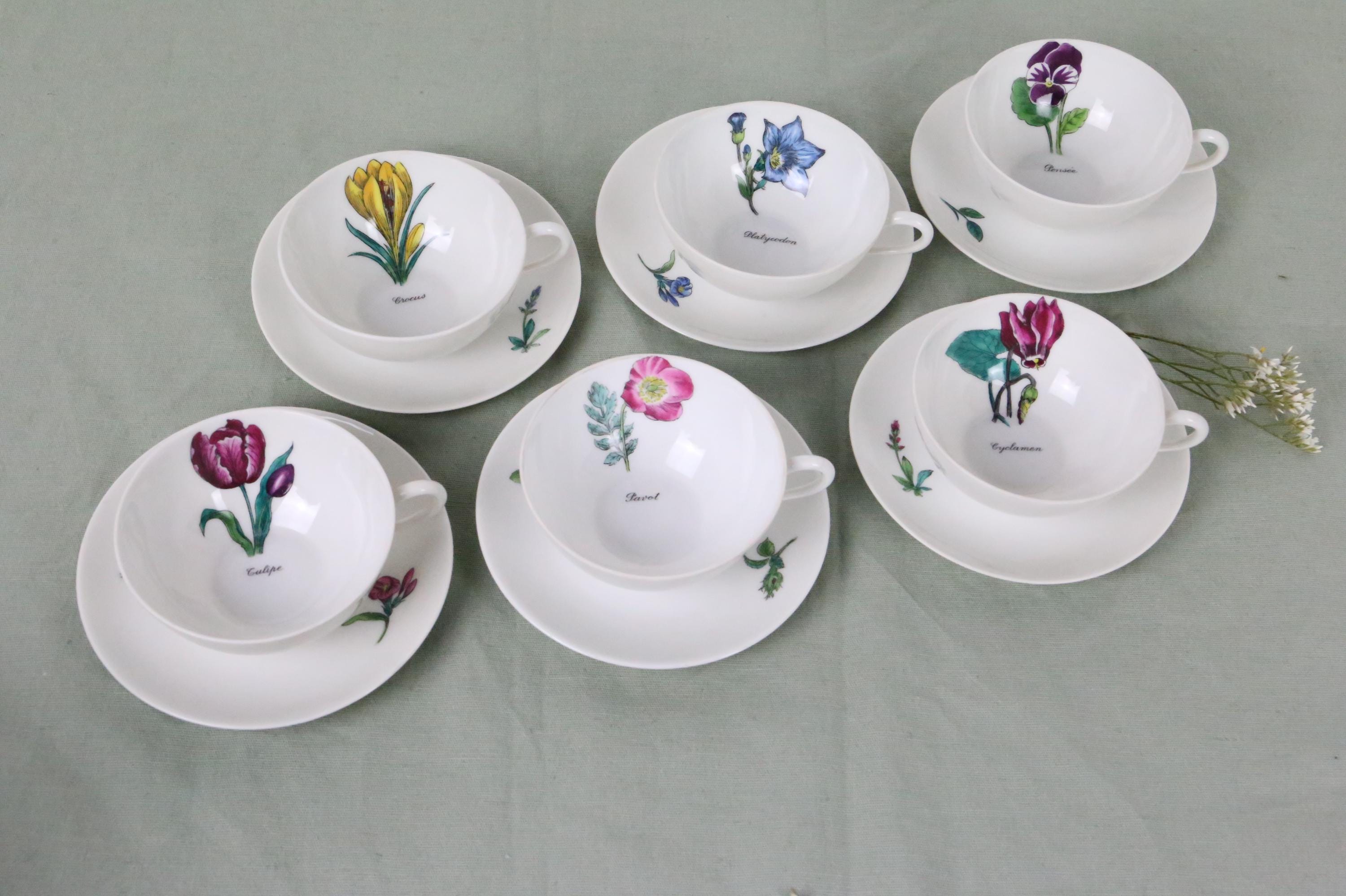 Set of 6 Cups and Saucers, Faiencerie NBD Limoges, Bernardaud - Etsy