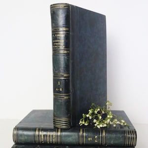 Dictionary of public hygiene and sanitation or directory of all questions relating to public health; Ambroise Tardieu, 1852