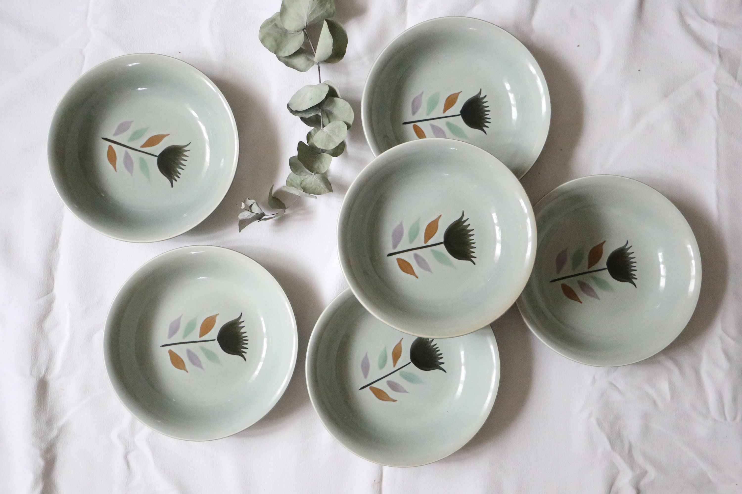 Set de 6 Assiettes Calottes -Ou Creuses - Salins, Motif Montpezat, Vintage Français